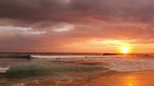 Photo from customer review