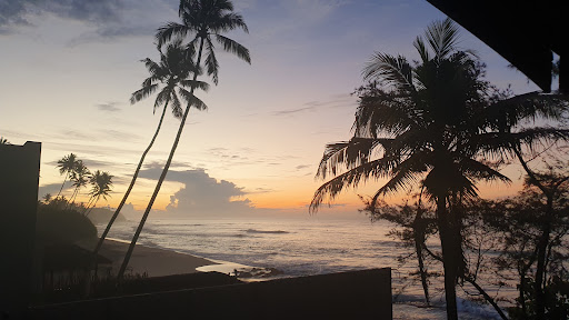 Photo from customer review