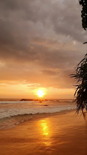 Photo from customer review