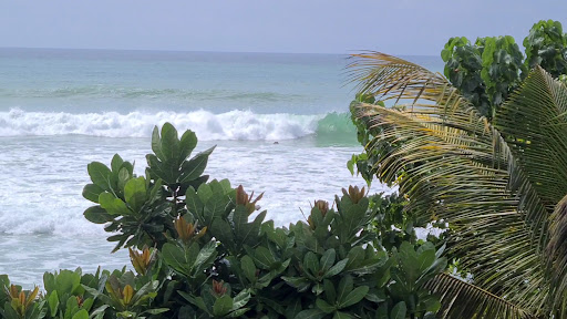 Photo from customer review