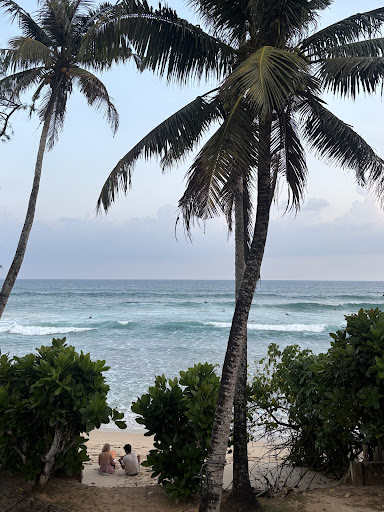 Photo from customer review