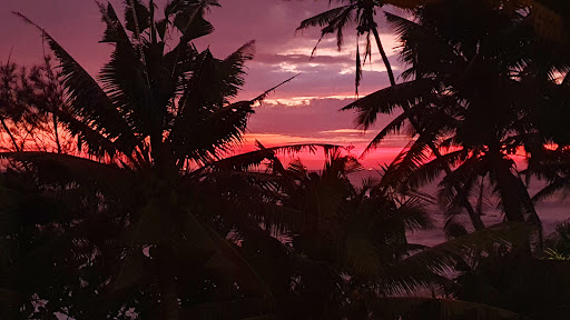 Photo from customer review